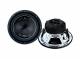 Boss Audio Systems P10DVC
