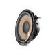 Focal P25FS