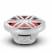 Rockford Fosgate M1D2-10