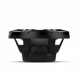 Rockford Fosgate M1D2-10B