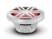 Rockford Fosgate M1D4-10	